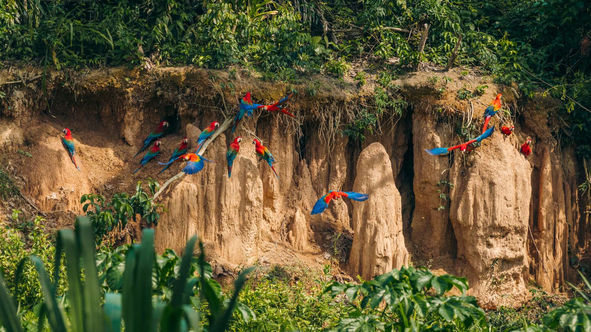 Tour en Perú 20 días visita: Lima, Nazca, Machu Picchu, Arequipa, Cañon del Colca, Puno, Lago Titicaca, Puerto Maldonado