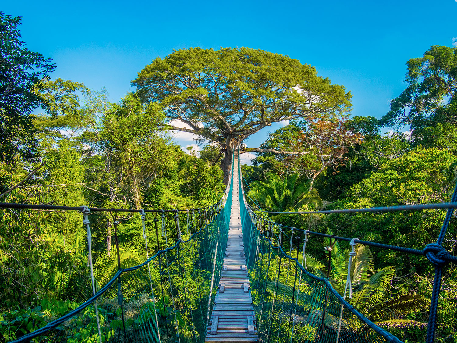 Puerto Maldonado 